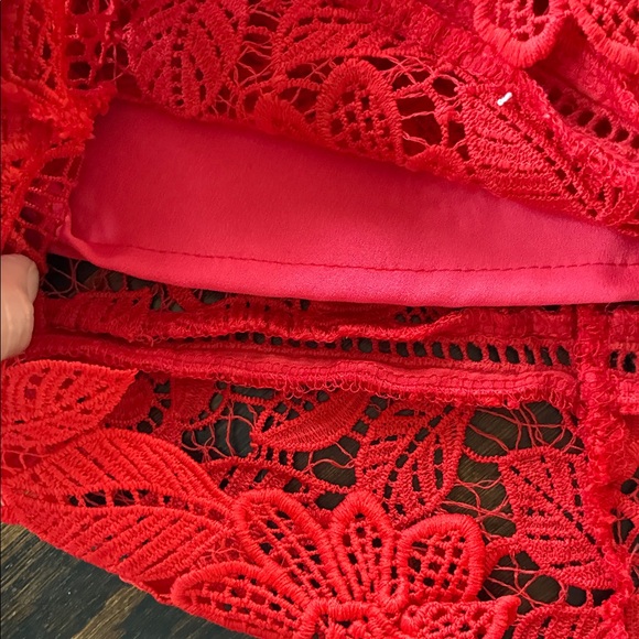 Lovers + Friends Red Lace Dress - Picture 5 of 8